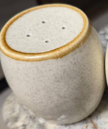 Boutique Salt Shaker