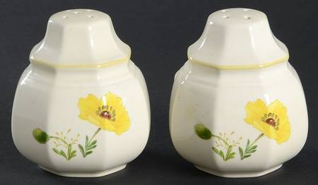 Buttercup Salt & Pepper Set