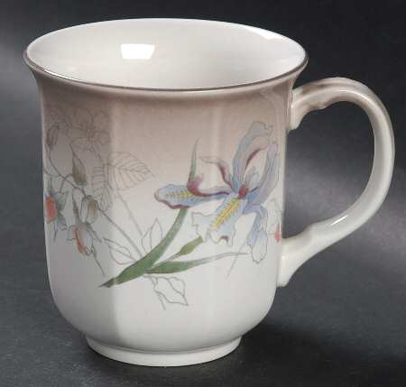 Casa Grande Mug