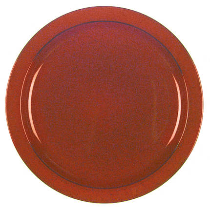 Chromatic Terra Cotta Dinner Plate