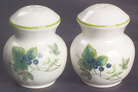 Chelsea Vine Salt & Pepper Set by Mikasa