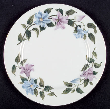 Clematis Dinner Plate