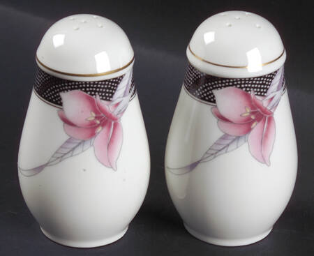 Cosmo Salt & Pepper Set