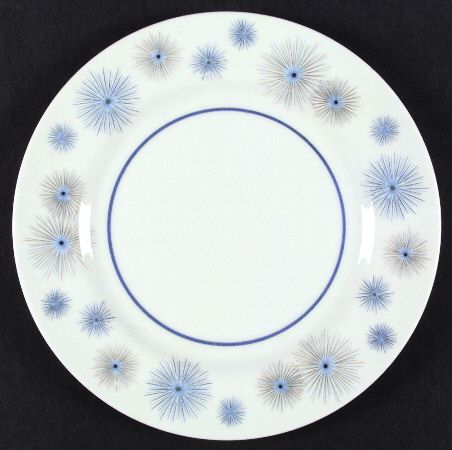 Cosmos Dinner Plate