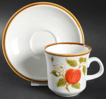 Crab Apple Flat Cup & Saucer Set by Mikasa