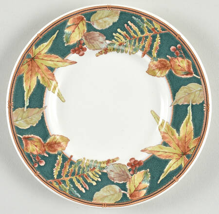 Ecology Saucer