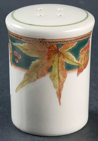 Ecology Salt Shaker