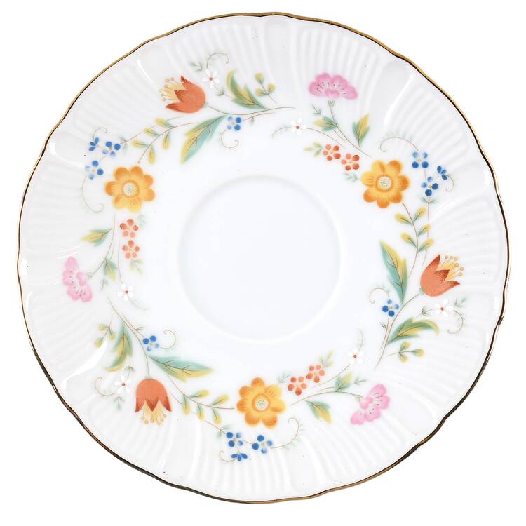 Fanciful Saucer