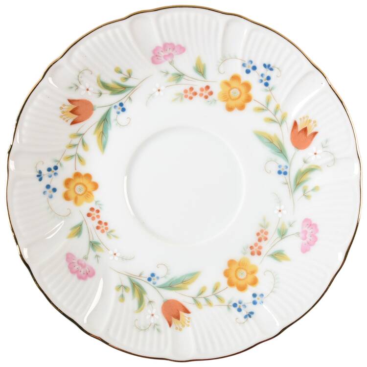 Fanciful Saucer