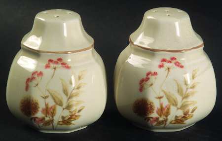Ferndale Salt & Pepper Set