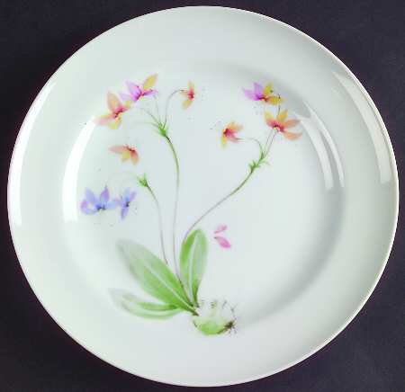 Flower of The Month Salad Plate by Mikasa