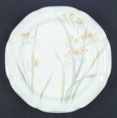Freesia