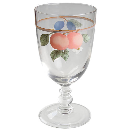 Fruit Panorama 16 Oz Glassware Goblet