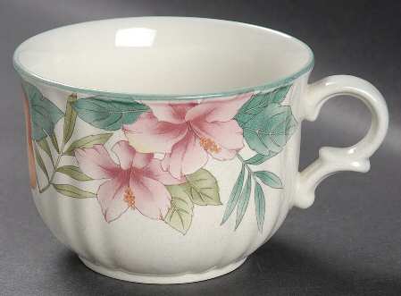 Fruitage Jumbo Cup