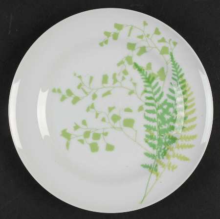 Green Fern Salad Plate
