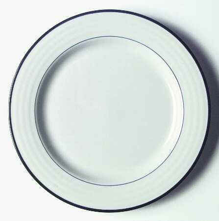Indigo Circle Dinner Plate