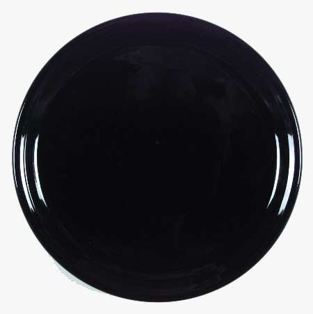 Jet Black Dinner Plate
