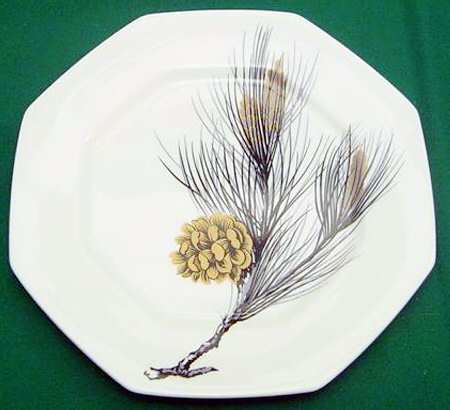 Kawana Pine by Mikasa