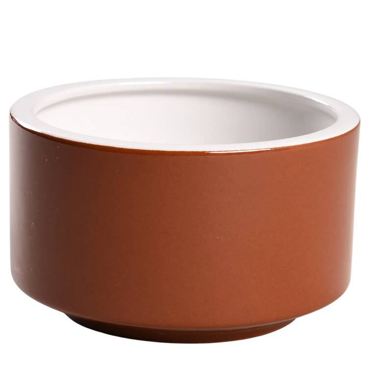 Light and Lively Brown