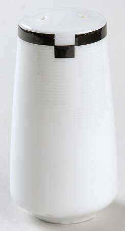 Midnight Salt Shaker