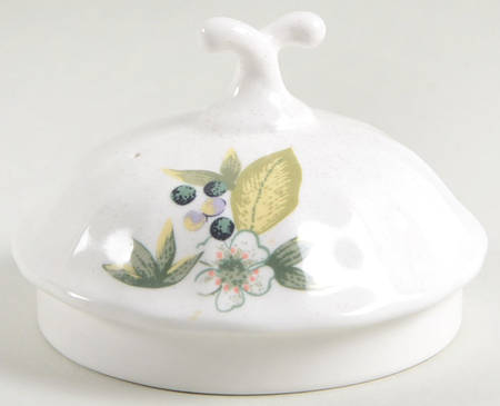 Nature's Image Lid for Coffee Pot