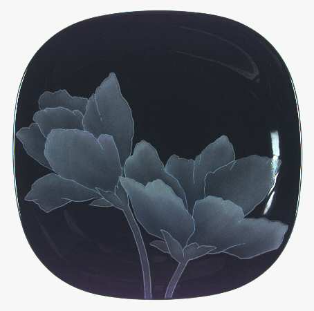 Options Dinner Plate