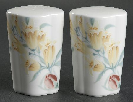 Palace Meadow Salt & Pepper Set by Mikasa