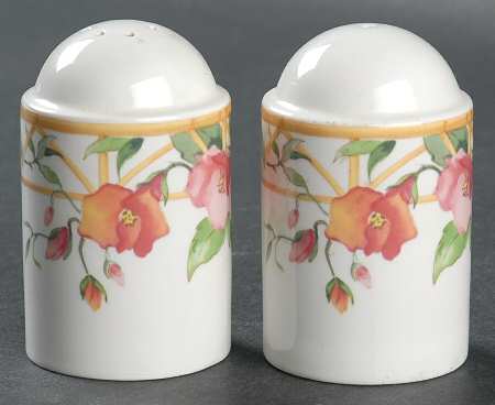 Parisian Trellis Salt & Pepper Set