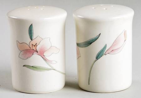 Peach Blooms Salt & Pepper Set by Mikasa