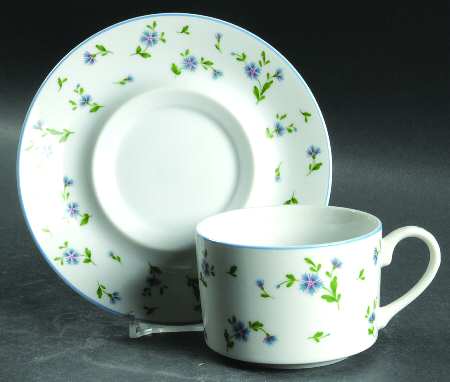 Petit Fleur Flat Cup & Saucer Set by Mikasa