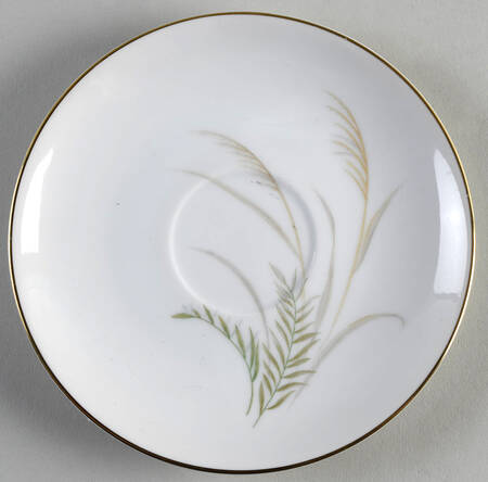 Sahara Saucer
