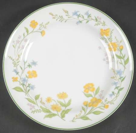 Spring Delight Dinner Plate by Mikasa