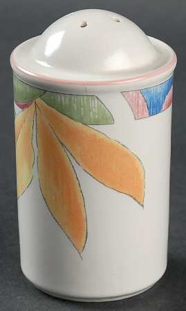 Splendrous Salt Shaker