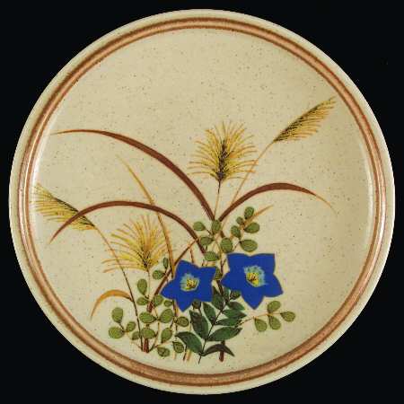 Susuki Salad Plate