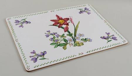 Summer Symphony Corkboard Placemat