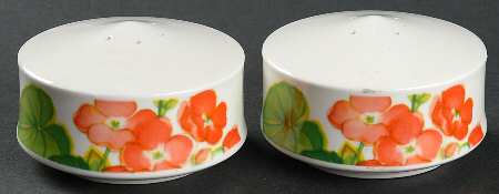 Sunny Window Salt & Pepper Set