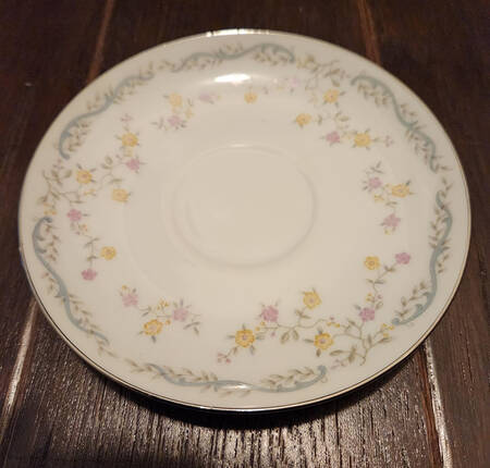 Vassar Saucer