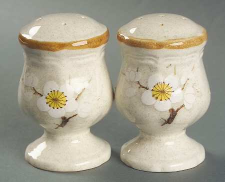White Petals Salt & Pepper Set by Mikasa