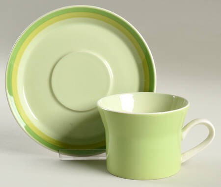 Wintergreen Flat Cup & Saucer Set by Mikasa