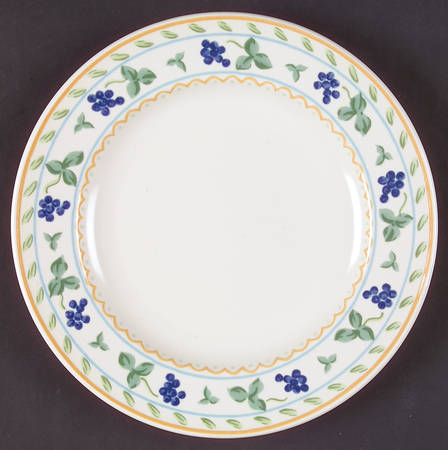 Wine & Roses Salad Plate by Mikasa