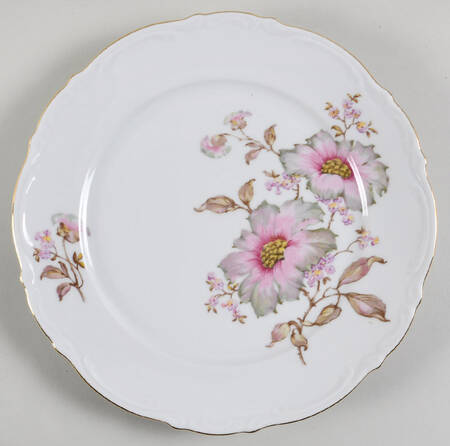 Dogwood Dinner Plate by Mitterteich