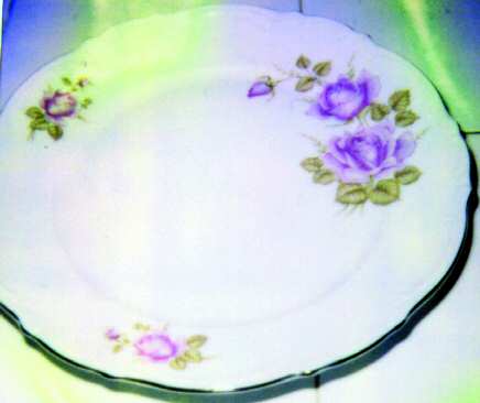 MIT23 Dinner Plate