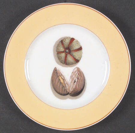 Fruits of The Sea Bread & Butter Plate