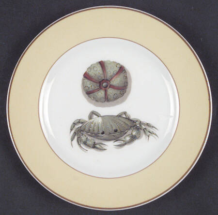 Fruits of The Sea Bread & Butter Plate
