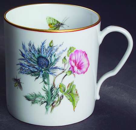 Merian Mug