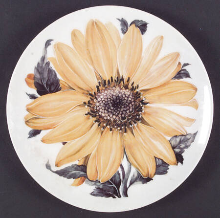 MOT3 Dinner Plate