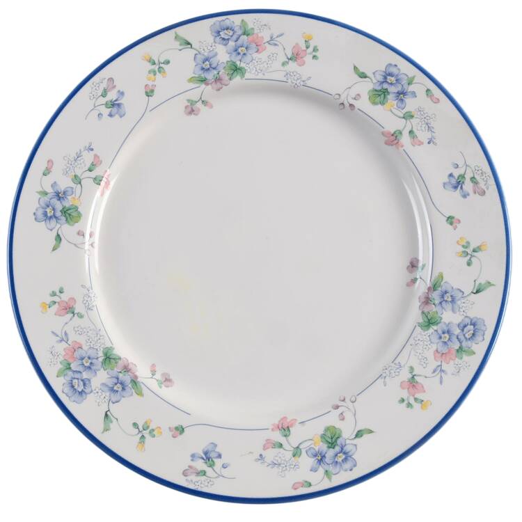Blue Border Flower Salad Plate