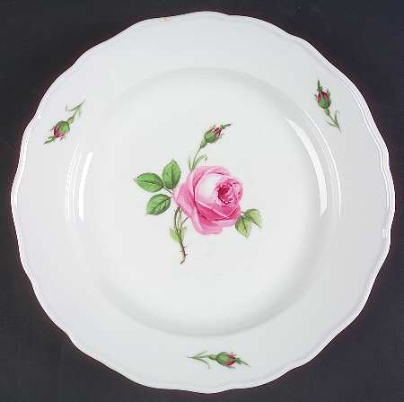 MSS2 Dinner Plate