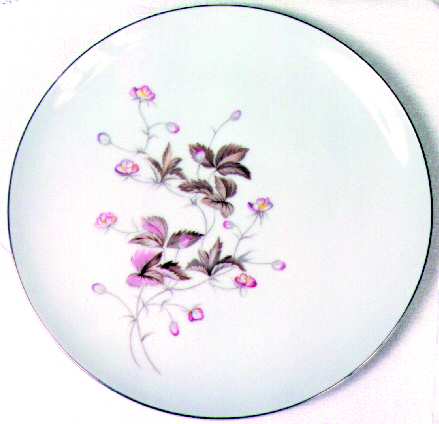 MTK1 Dinner Plate