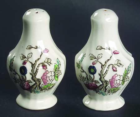 Indian Tree (No #, No Green Border, Cream) Salt & Pepper Set